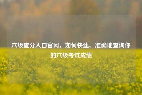 六级查分入口官网，如何快速、准确地查询你的六级考试成绩