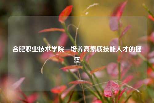 合肥职业技术学院—培养高素质技能人才的摇篮