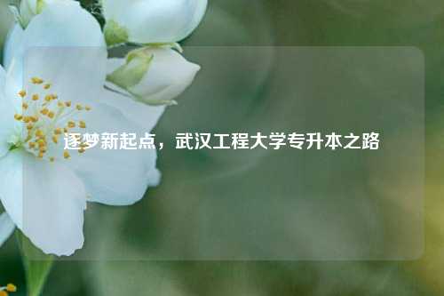 逐梦新起点，武汉工程大学专升本之路