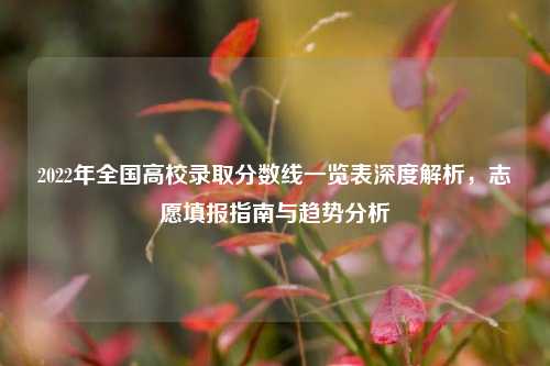 2022年全国高校录取分数线一览表深度解析，志愿填报指南与趋势分析