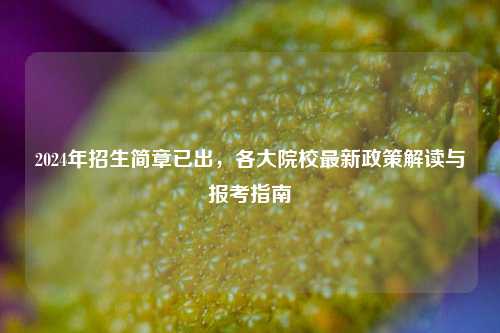 2024年招生简章已出，各大院校最新政策解读与报考指南