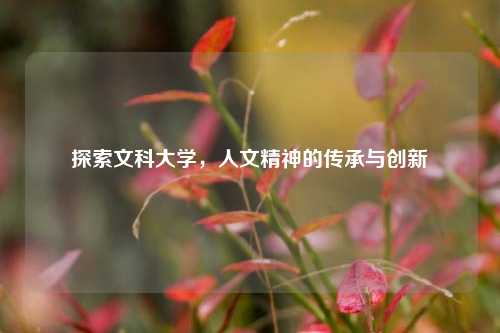 探索文科大学，人文精神的传承与创新