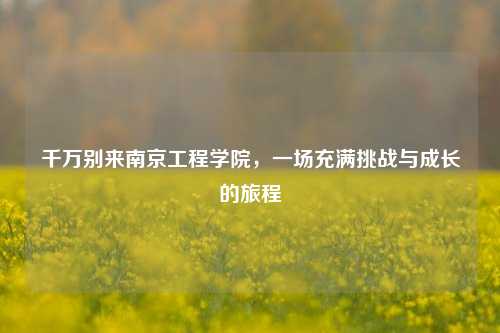 千万别来南京工程学院，一场充满挑战与成长的旅程