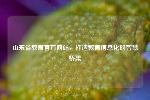 山东省教育官方网站，打造教育信息化的智慧桥梁