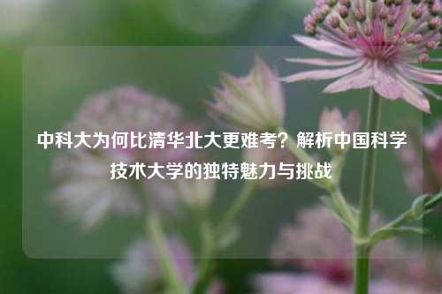 中科大为何比清华北大更难考？解析中国科学技术大学的独特魅力与挑战