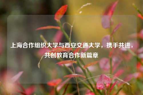 上海合作组织大学与西安交通大学，携手共进，共创教育合作新篇章