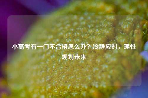 小高考有一门不合格怎么办？冷静应对，理性规划未来
