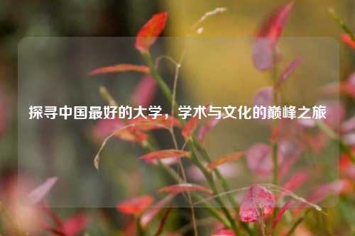 探寻中国最好的大学，学术与文化的巅峰之旅