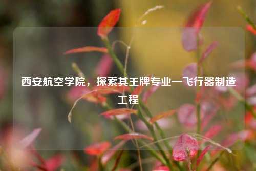 西安航空学院，探索其王牌专业—飞行器制造工程