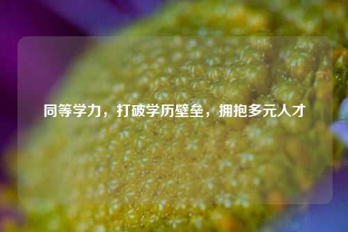同等学力，打破学历壁垒，拥抱多元人才