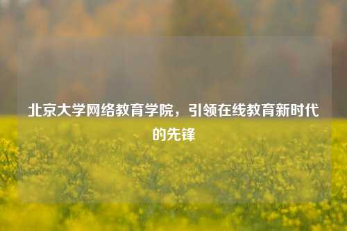 北京大学网络教育学院，引领在线教育新时代的先锋
