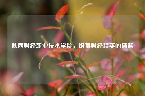 陕西财经职业技术学院，培育财经精英的摇篮
