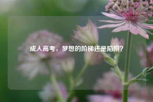 成人高考，梦想的阶梯还是陷阱？
