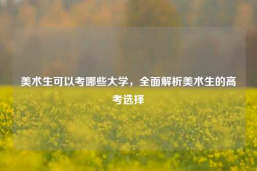 美术生可以考哪些大学，全面解析美术生的高考选择