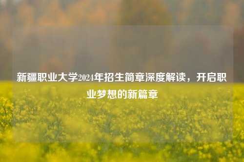 新疆职业大学2024年招生简章深度解读，开启职业梦想的新篇章