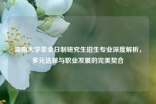 湖南大学非全日制研究生招生专业深度解析，多元选择与职业发展的完美契合