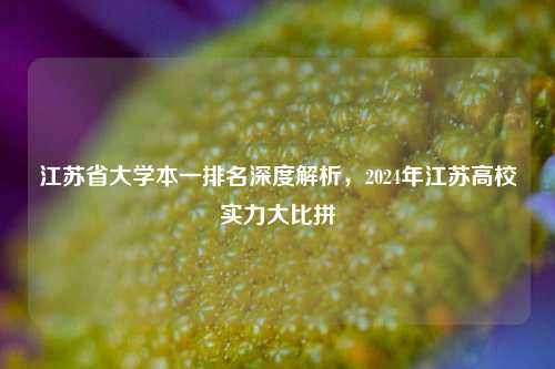 江苏省大学本一排名深度解析，2024年江苏高校实力大比拼