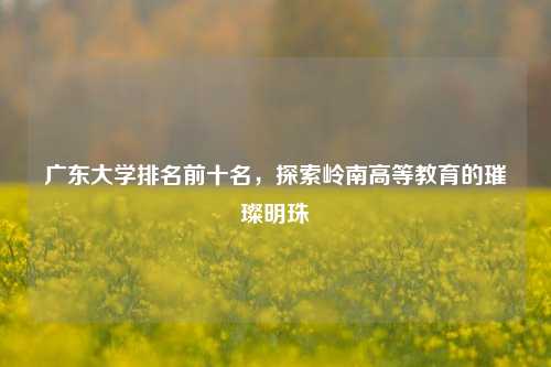 广东大学排名前十名，探索岭南高等教育的璀璨明珠