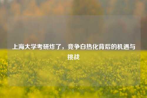 上海大学考研炸了，竞争白热化背后的机遇与挑战