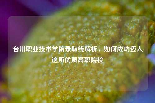 台州职业技术学院录取线解析，如何成功迈入这所优质高职院校