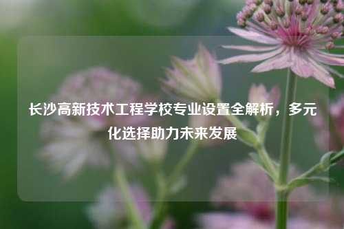长沙高新技术工程学校专业设置全解析，多元化选择助力未来发展