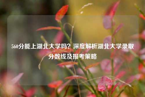 560分能上湖北大学吗？深度解析湖北大学录取分数线及报考策略