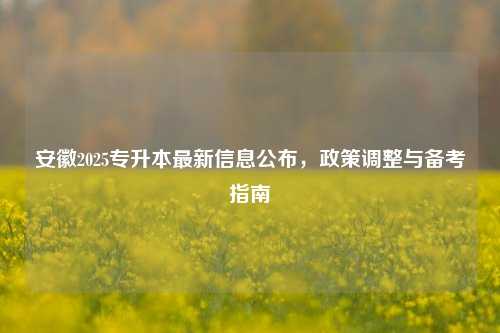 安徽2025专升本最新信息公布，政策调整与备考指南