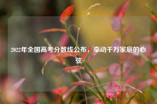 2022年全国高考分数线公布，牵动千万家庭的心弦