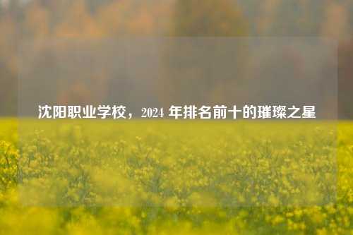 沈阳职业学校，2024 年排名前十的璀璨之星