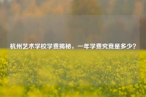 杭州艺术学校学费揭秘，一年学费究竟是多少？