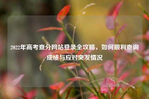 2022年高考查分网站登录全攻略，如何顺利查询成绩与应对突发情况
