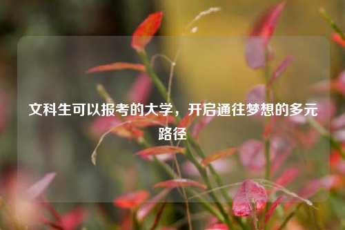 文科生可以报考的大学，开启通往梦想的多元路径