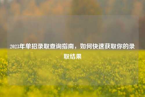 2023年单招录取查询指南，如何快速获取你的录取结果