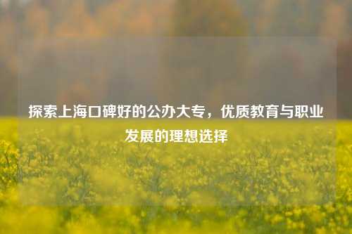 探索上海口碑好的公办大专，优质教育与职业发展的理想选择