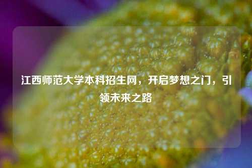 江西师范大学本科招生网，开启梦想之门，引领未来之路