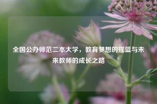 全国公办师范二本大学，教育梦想的摇篮与未来教师的成长之路