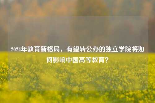 2024年教育新格局，有望转公办的独立学院将如何影响中国高等教育？