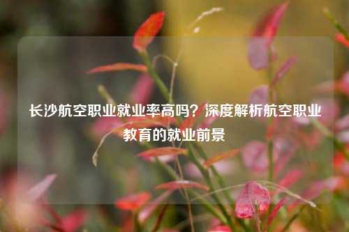 长沙航空职业就业率高吗？深度解析航空职业教育的就业前景