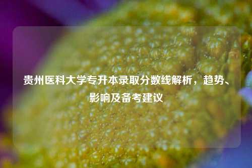 贵州医科大学专升本录取分数线解析，趋势、影响及备考建议
