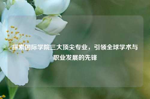 探索国际学院三大顶尖专业，引领全球学术与职业发展的先锋