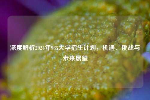 深度解析2024年985大学招生计划，机遇、挑战与未来展望