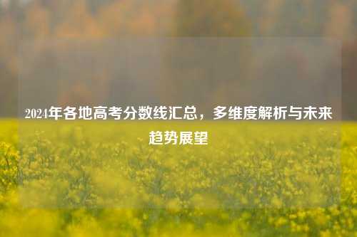 2024年各地高考分数线汇总，多维度解析与未来趋势展望