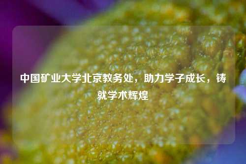中国矿业大学北京教务处，助力学子成长，铸就学术辉煌