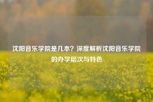 沈阳音乐学院是几本？深度解析沈阳音乐学院的办学层次与特色