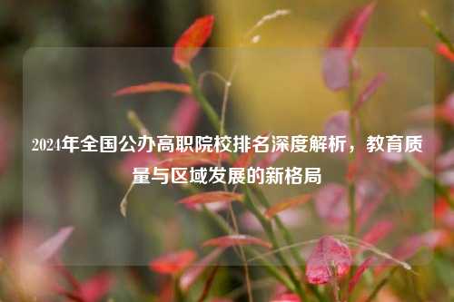 2024年全国公办高职院校排名深度解析，教育质量与区域发展的新格局