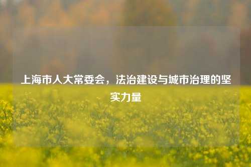 上海市人大常委会，法治建设与城市治理的坚实力量