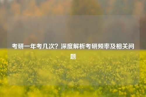 考研一年考几次？深度解析考研频率及相关问题
