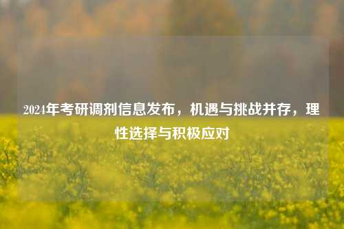 2024年考研调剂信息发布，机遇与挑战并存，理性选择与积极应对