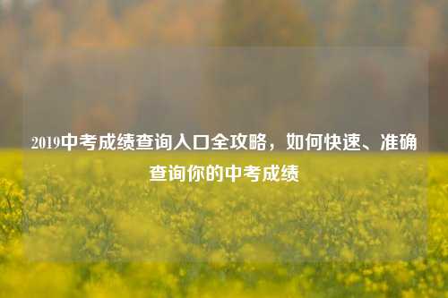 2019中考成绩查询入口全攻略，如何快速、准确查询你的中考成绩