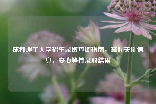 成都理工大学招生录取查询指南，掌握关键信息，安心等待录取结果
